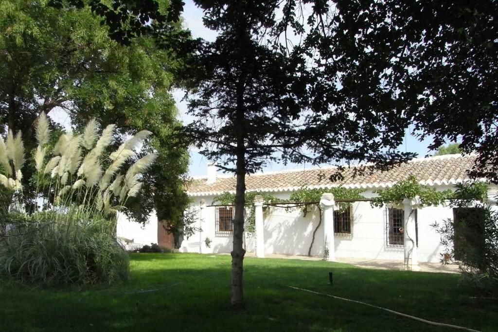 Casa El Carmen Villa Ciudad Real Dış mekan fotoğraf